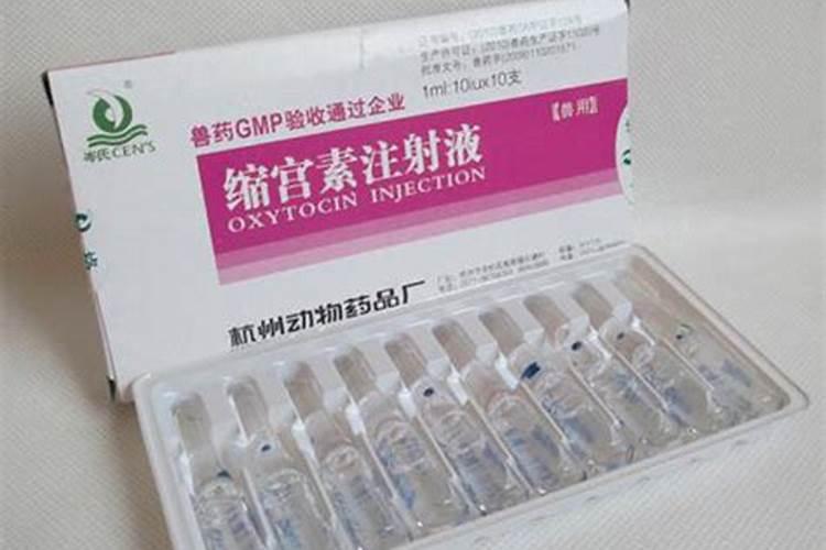 中国最好的叶面肥