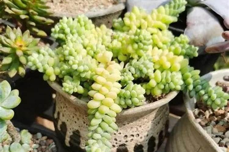覃进展表哥个人资料
