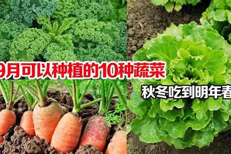 腐植酸肥料检测 腐植酸肥料检测机构