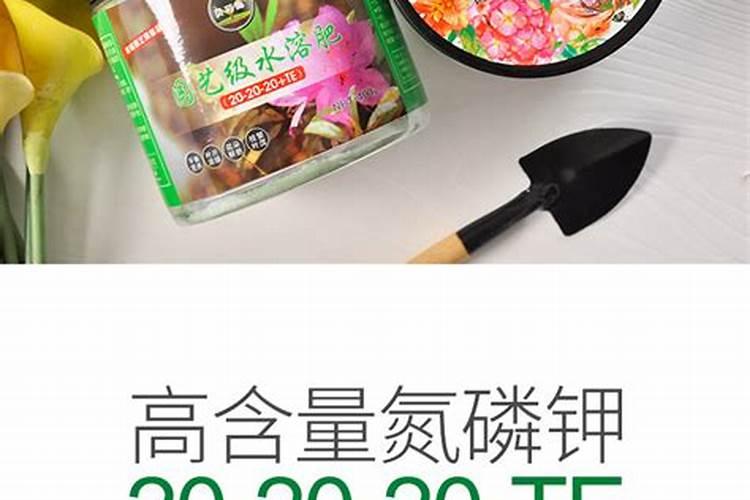 多肉施肥用什么肥料长得壮