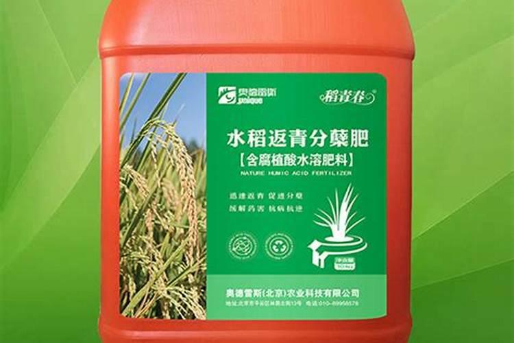 玉米追什么肥好,玉米要追几次肥？