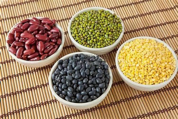 为什么豆类植物不需要施氮肥