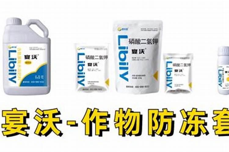 小麦防冻专用叶面肥 小麦防冻措施
