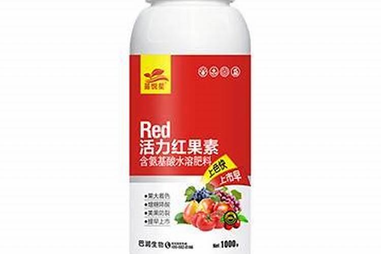 君子兰施什么肥最好？