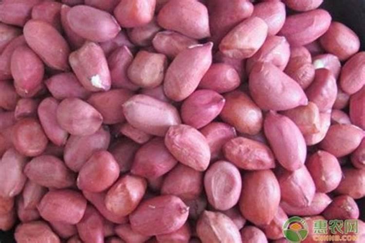 史丹利水溶肥料用于花卉怎么兑水？