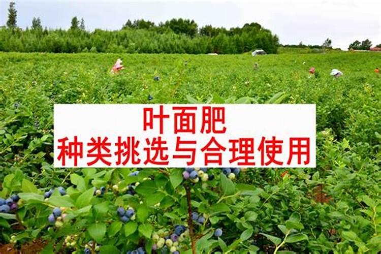 花生叶面肥自己怎么配