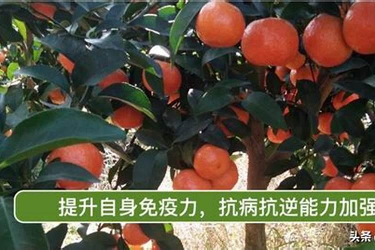 肥料是属于有机物还是无机盐