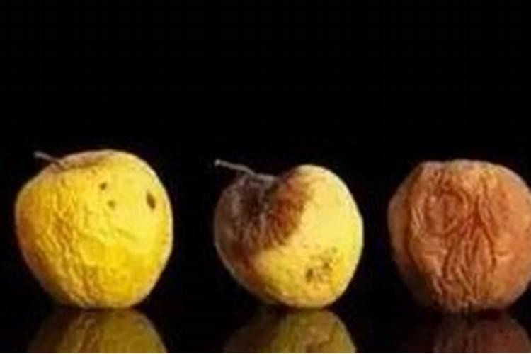 花果控释肥的正确使用方法