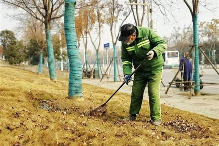 植物冬天可以施肥吗 需要注意什么