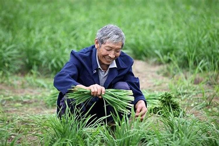 ...群落和无机环境中不断循环,为什么还要向农田中不断施加氮肥...