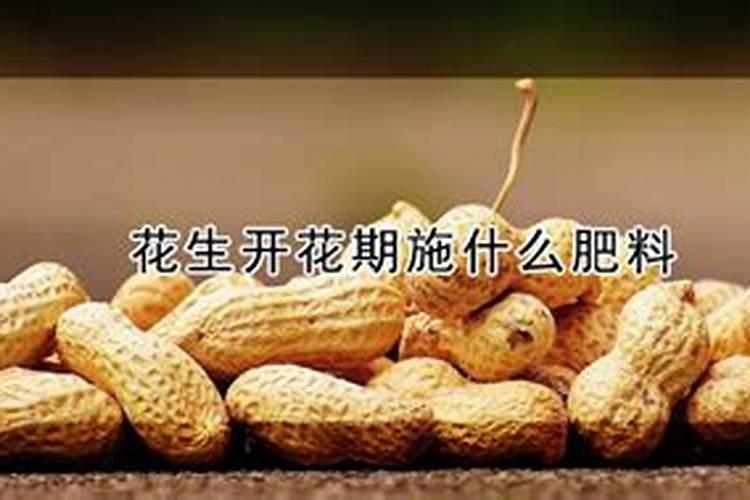 花生开花期要施什么肥