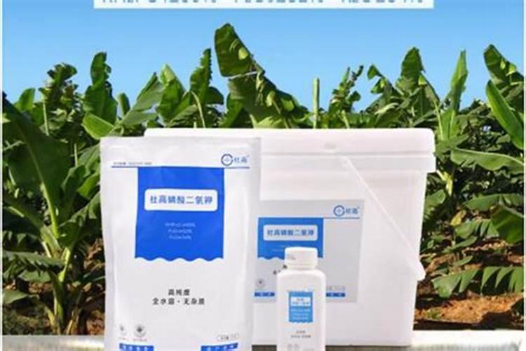 14羟基芸苔素甾醇使用方法