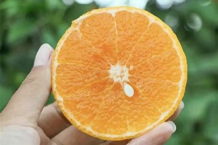 沃柑结果了加硼沙有什么效果