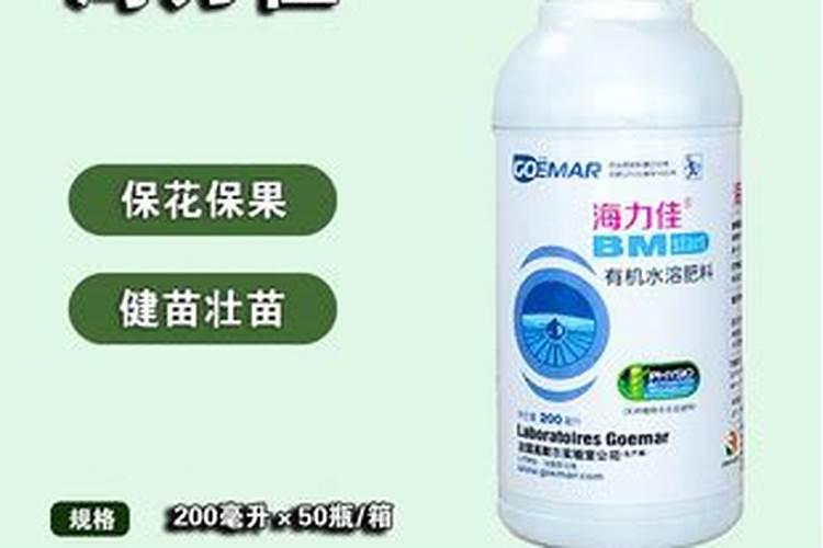 碗莲烂叶片是怎么回事 碗莲烂叶片是什么原因