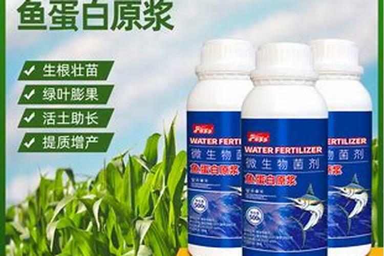 番茄硼肥过量会怎样