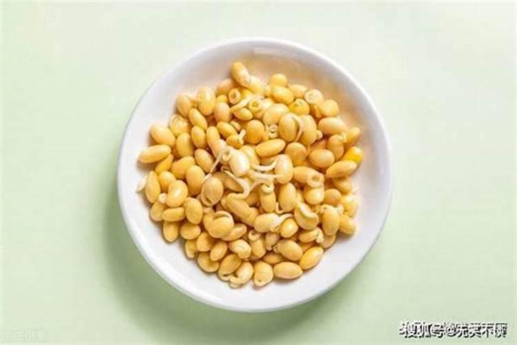 黄豆水是氮肥还是磷肥