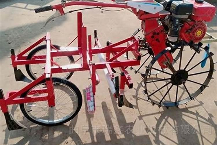 什么肥料能让红薯达到最优生长效果