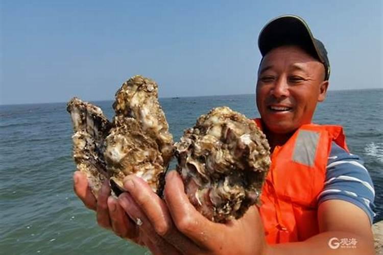 草莓专用肥是什么肥料 草莓施入氮磷钾肥的作用