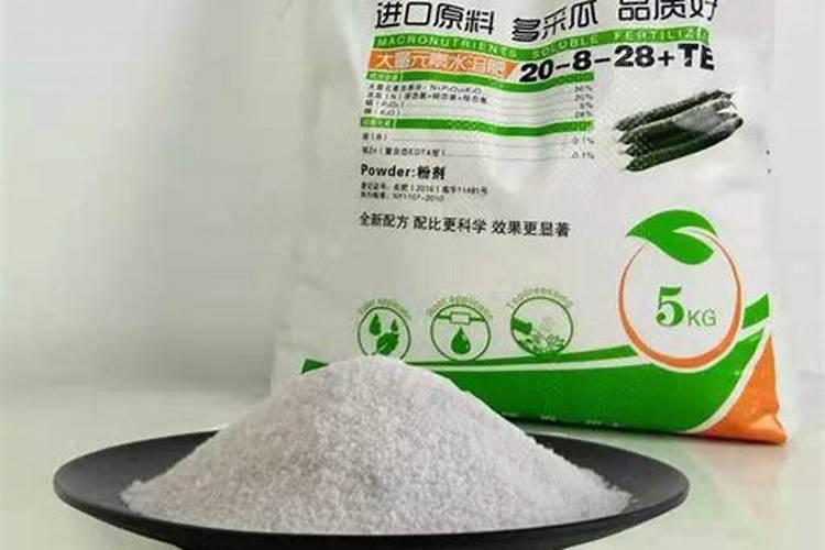 柑桔钾肥最佳时间是什么时候