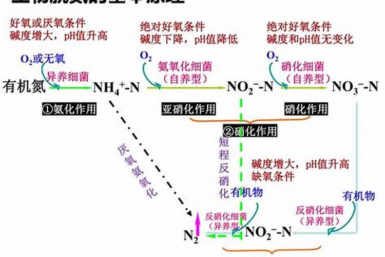 茶花最忌三种肥料