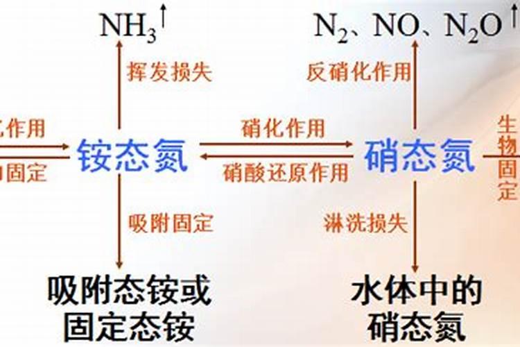 氮肥有哪些这些都是常见的氮肥