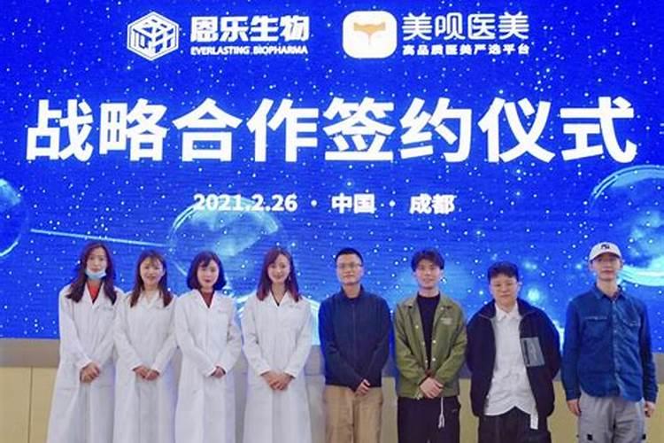 吊兰多少钱一棵？2020年吊兰价格最新行情预测