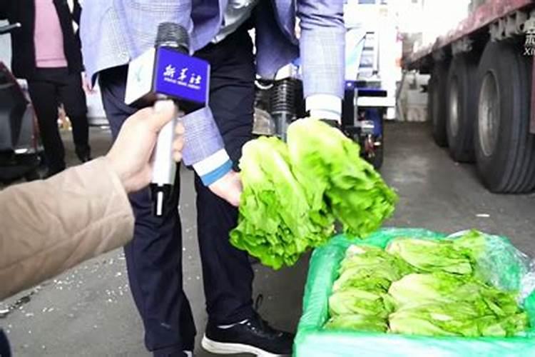 硝酸钾肥料的作用 这三点你知道吗
