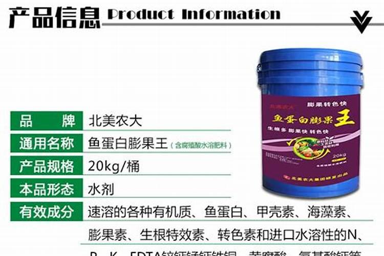 鱼胶的食用方法