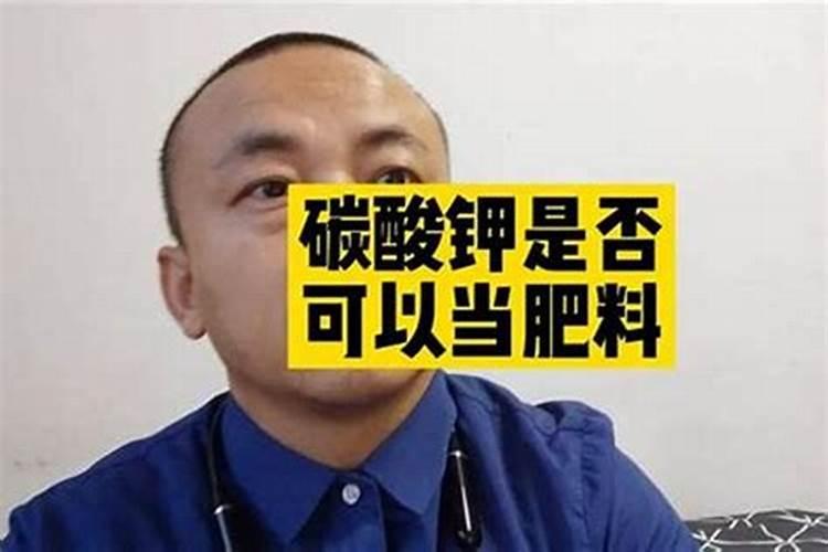 含淀粉最高的土豆品种查询云薯2号土豆种子那里有买？