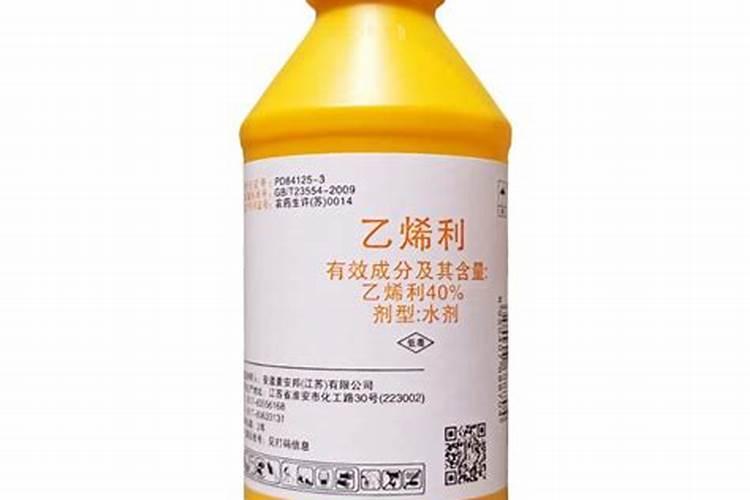 平菇培养料的发酵方法