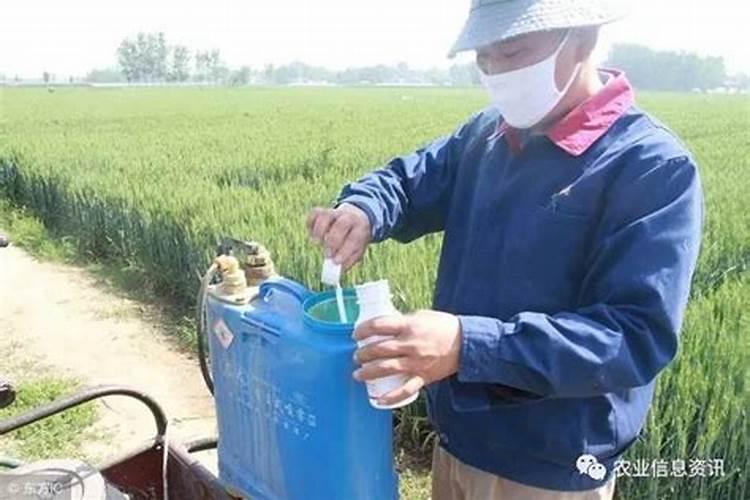 铜制剂不能和什么农药混用
