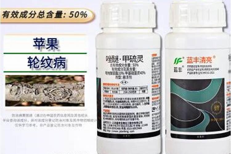 绿萝需要施什么肥