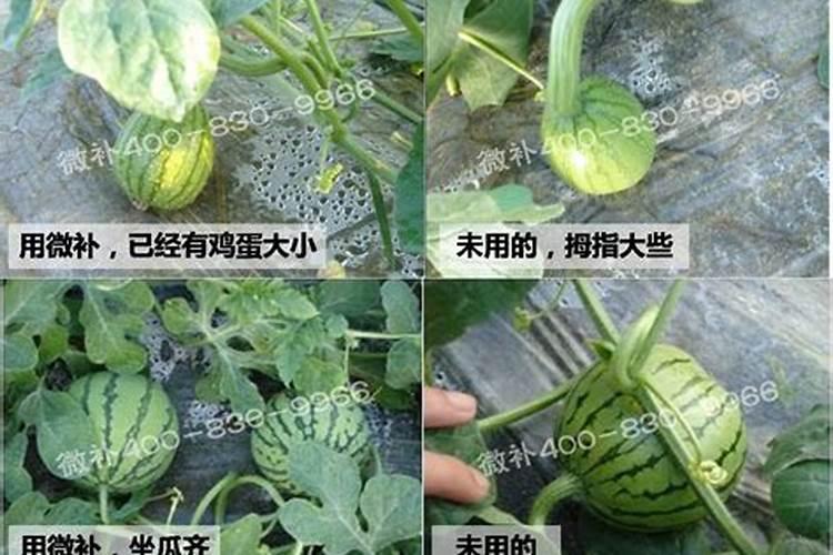 苏联解体 钾肥为什么过剩