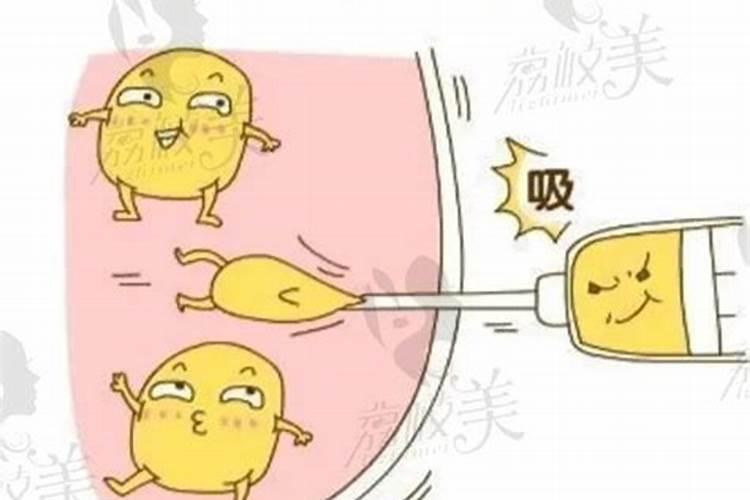 哪些属于磷钾肥