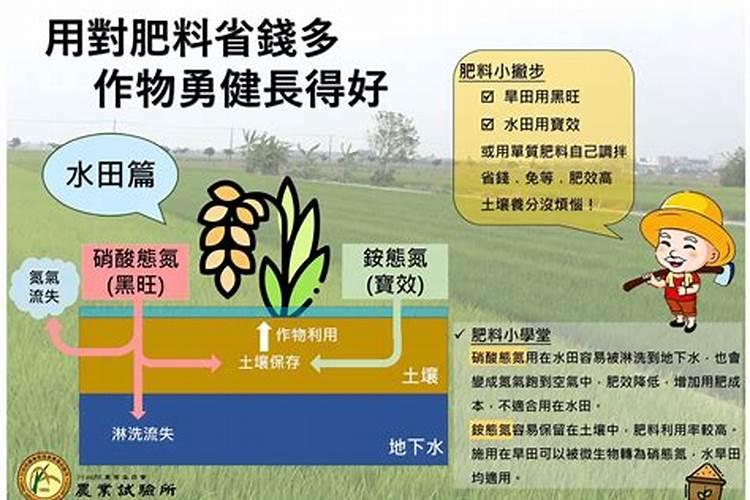 马铃薯叶枯病危害症状