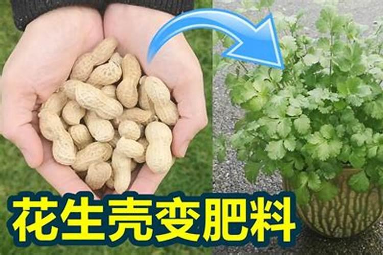 花生壳可以做肥料吗
