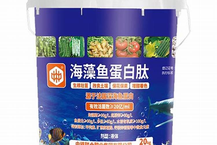 小麦什么时间追肥最合适