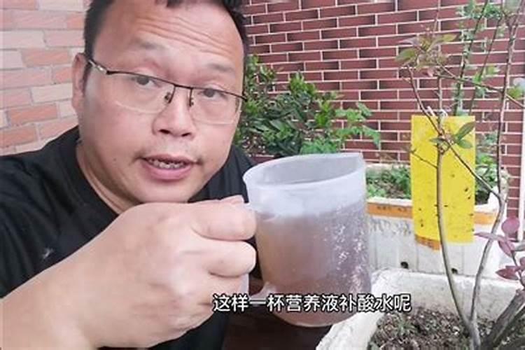 蓝莓结果后怎么施肥
