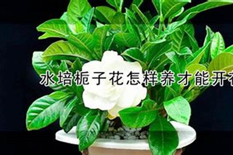 17岁吃钙片还有用吗