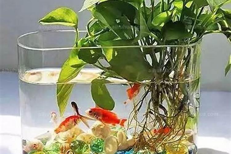 什么肥料含钾最高 含钾的肥料有什么作用