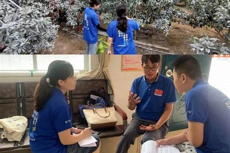 沃柑花期如何施肥保花保果？
