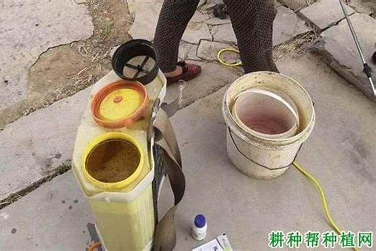 人体内缺乏微量元素锰会有哪些后果？