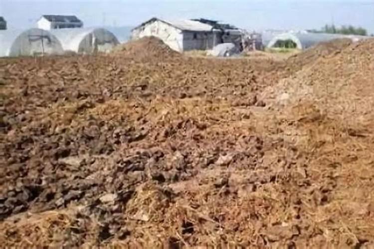 给盆栽追肥用什么肥料(盆栽施什么肥好)