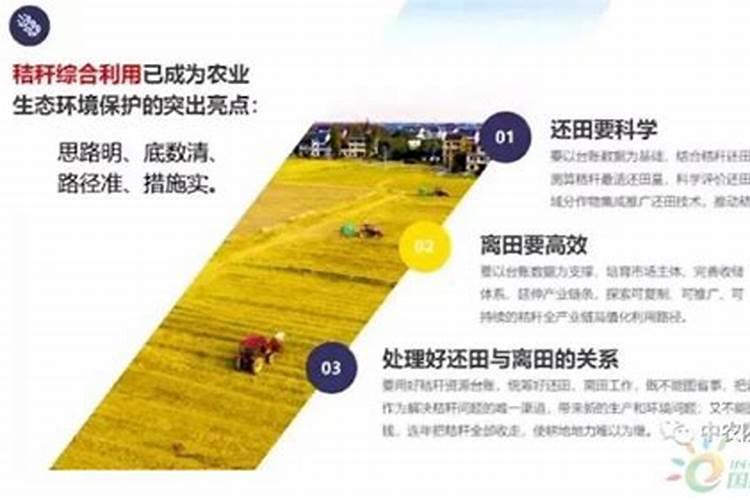 玉米秸秆还田还施钾肥吗？玉米秸秆含多少钾？答粉丝问 农业技术