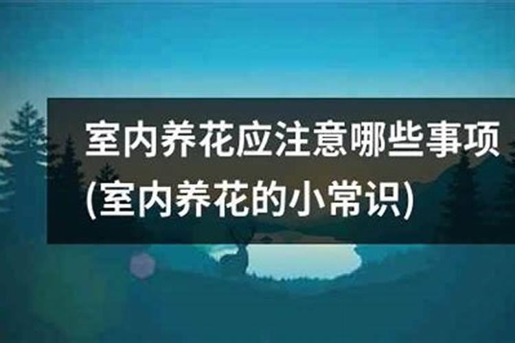 葡萄成熟期能用二氢钾打滴灌吗？