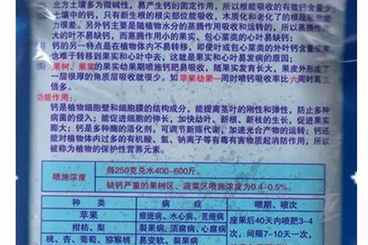 保定柿子多少钱一斤