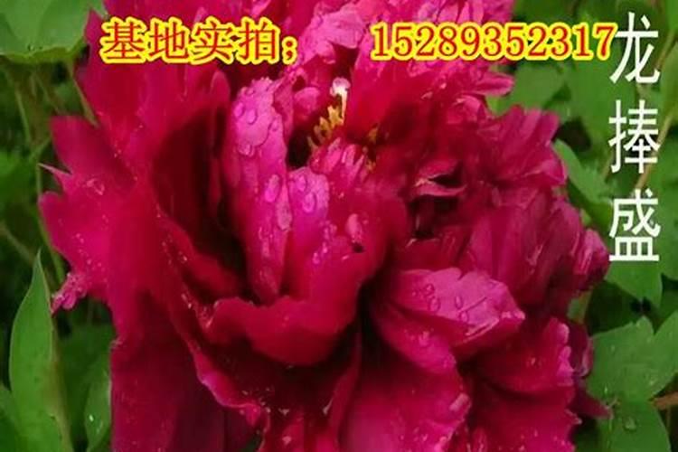 农产品贸易公司经营范围有哪些