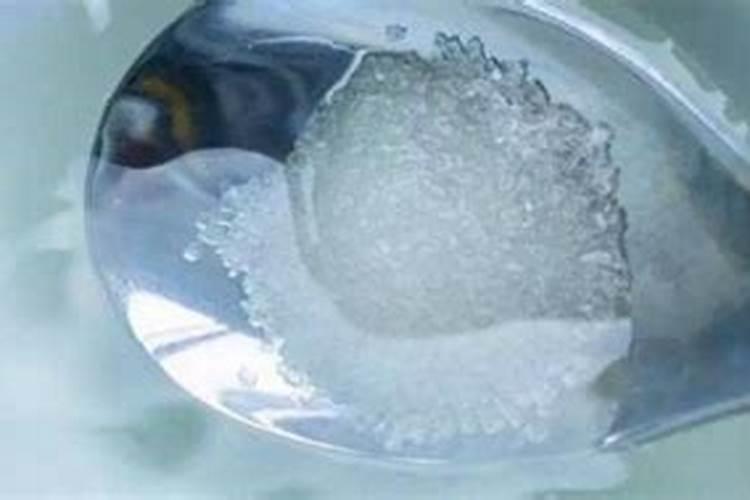 种藕用哪种肥料好