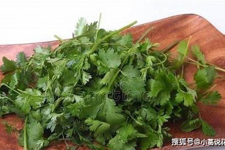 如何对农作物科学施用硼肥？