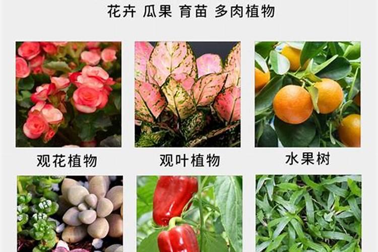 化学除草剂与肥效的关系